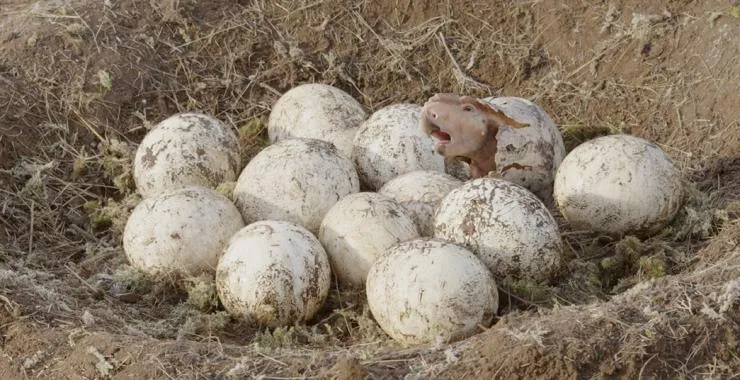 Прогулки с динозаврами 3D (2013) через торрент скачать Прогулки с динозаврами 3D (2013) фильм через торрент скачать