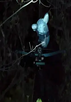 Тебе конец! (2013) через торрент бесплатно Тебе конец! (2013) фильм через торрент бесплатно