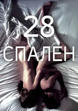 28 спален / 28 Hotel Rooms (2012) фильм скачать через торрент в хорошем качестве