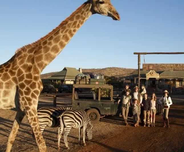 Мои африканские приключения (2013) через торрент бесплатно Мои африканские приключения (2013) фильм через торрент бесплатно