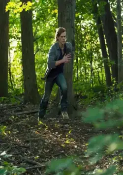 Волки (2013) через торрент скачать Волки (2013) фильм через торрент скачать