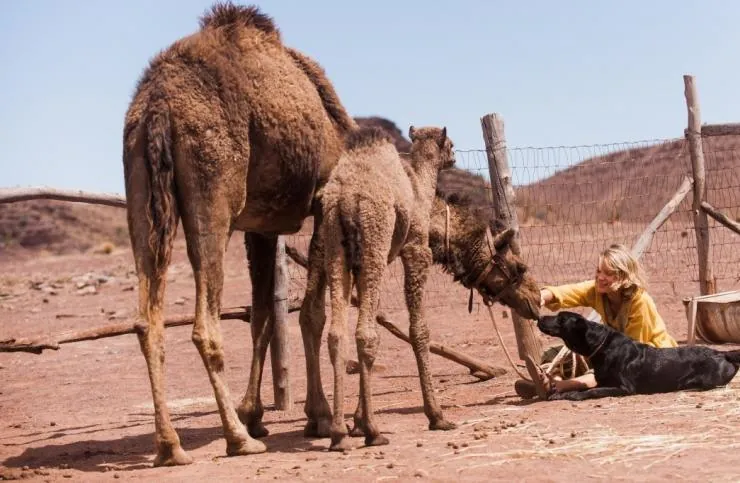 Тропы (2013) в хорошем качестве через торрент Тропы (2013) фильм в хорошем качестве через торрент