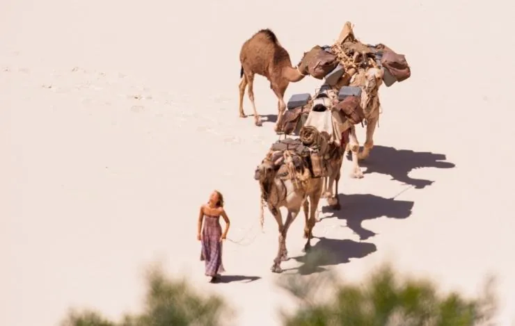 Тропы (2013) через торрент скачать Тропы (2013) фильм через торрент скачать