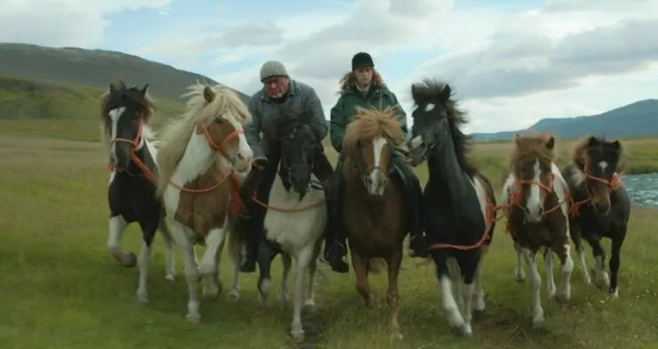 О лошадях и людях (2013) через торрент скачать О лошадях и людях (2013) фильм через торрент скачать