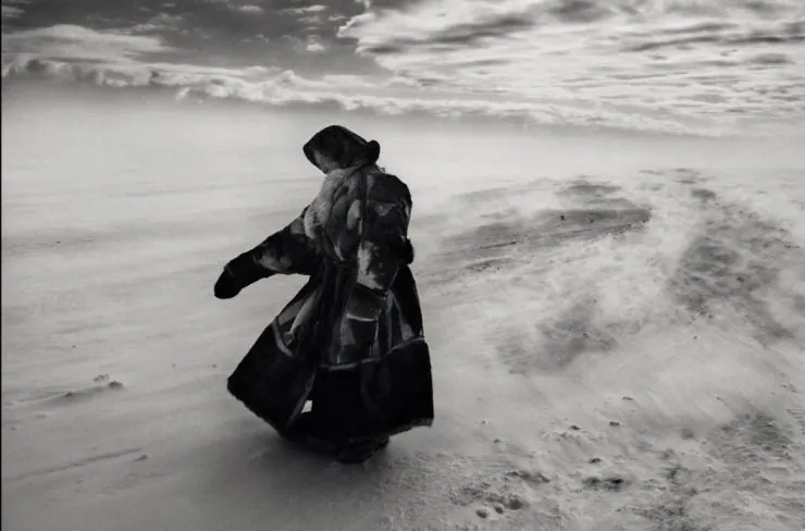 Соль Земли (2014) в хорошем качестве через торрент Соль Земли (2014) фильм в хорошем качестве через торрент