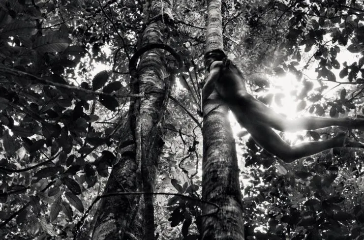 Соль Земли (2014) через торрент бесплатно Соль Земли (2014) фильм через торрент бесплатно