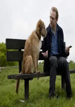 Всё могу (2015) через торрент скачать Всё могу (2015) фильм через торрент скачать