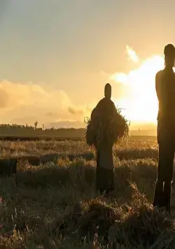 Песнь заката (2015) через торрент скачать Песнь заката (2015) фильм через торрент скачать