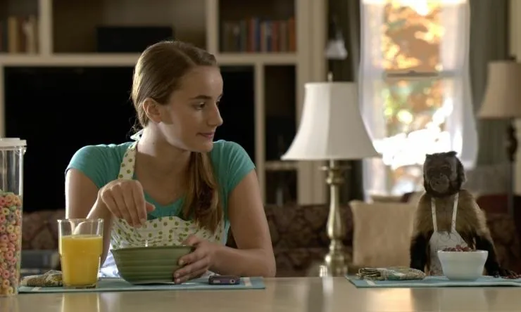 Гибби (2015) в хорошем качестве через торрент Гибби (2015) фильм в хорошем качестве через торрент