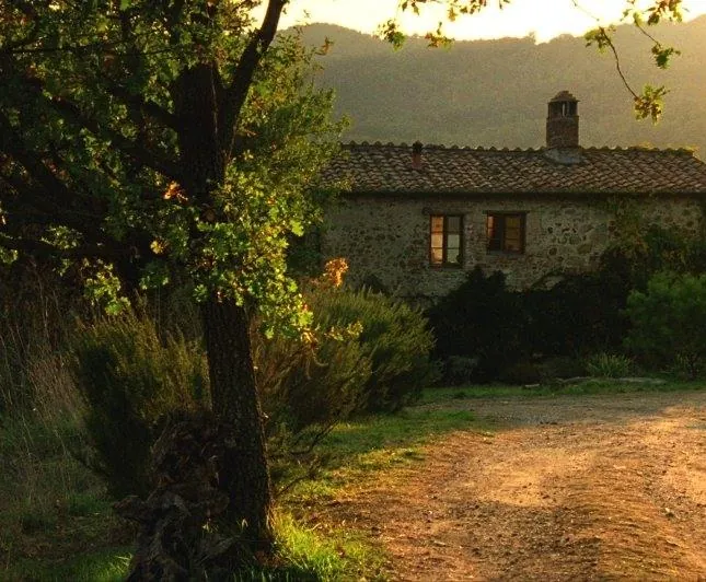 Тем летом (2008) через торрент скачать Тем летом (2008) фильм через торрент скачать