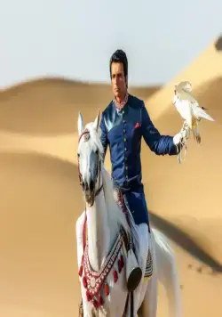 Доспехи бога: В поисках сокровищ (2017) через торрент скачать Доспехи бога: В поисках сокровищ (2017) фильм через торрент скачать