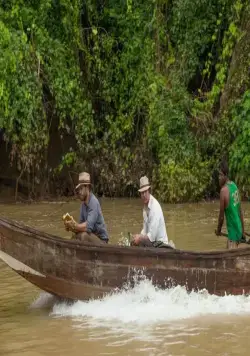 Золото (2016) в хорошем качестве через торрент Золото (2016) фильм в хорошем качестве через торрент