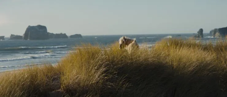 Девица (2018) через торрент скачать Девица (2018) фильм через торрент скачать