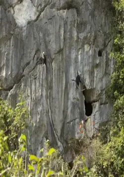 Земля: Один потрясающий день (2017) через торрент бесплатно Земля: Один потрясающий день (2017) фильм через торрент бесплатно