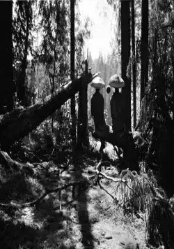 Мешок без дна (2017) через торрент бесплатно Мешок без дна (2017) фильм через торрент бесплатно