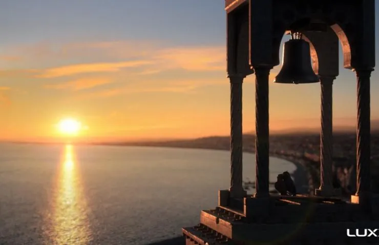 Птичий дозор (2019) через торрент скачать Птичий дозор (2019) мультфильм через торрент скачать