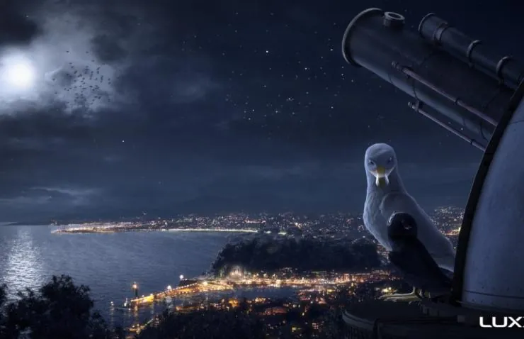 Птичий дозор (2019) через торрент бесплатно Птичий дозор (2019) мультфильм через торрент бесплатно