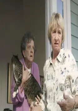 Отчаянные домохозяйки (2004) через торрент скачать Отчаянные домохозяйки (2004) сериал через торрент скачать