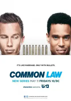 Общее дело / Common Law (2012) cериал скачать через торрент в хорошем качестве
