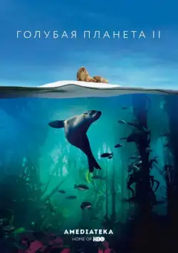 Голубая планета 2 / BBC Earth Blue Planet II (2017) cериал скачать через торрент в хорошем качестве