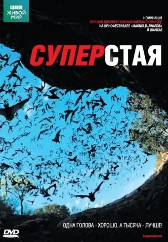BBC: Суперстая / SuperSwarm: Nature's Incredible Invasions (2009) cериал скачать через торрент в хорошем качестве