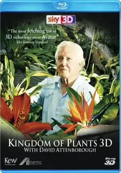 В королевстве растений / Kingdom of Plants 3D (2012) cериал скачать через торрент в хорошем качестве