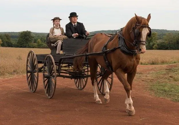 Энн (2017) через торрент бесплатно Энн (2017) сериал через торрент бесплатно