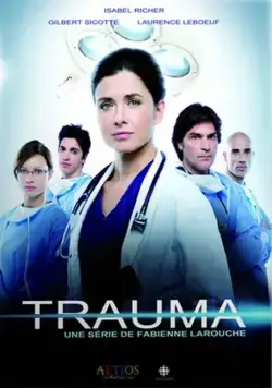 Травма / Trauma (2010) cериал скачать через торрент в хорошем качестве