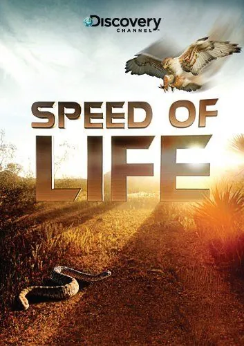 Discovery: Скорость жизни / Speed of Life (2010) cериал скачать через торрент в хорошем качестве