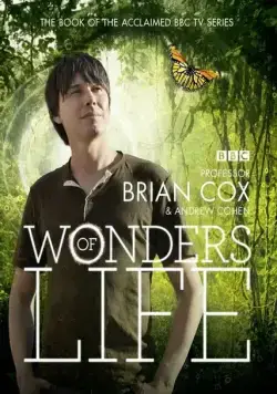 Чудеса жизни / Wonders of Life (2013) cериал скачать через торрент в хорошем качестве
