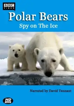 Белый медведь: Шпион во льдах / Polar Bears: Spy on the Ice (2011) cериал скачать через торрент в хорошем качестве