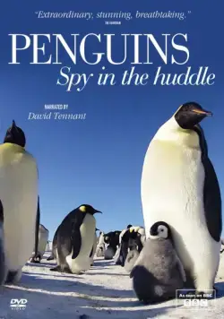 Пингвины: Шпион в толпе / Penguins: Spy in the Huddle (2013) cериал скачать через торрент в хорошем качестве