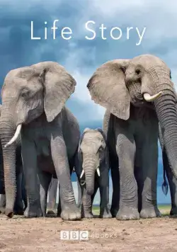 История жизни / Life Story (2014) cериал скачать через торрент в хорошем качестве