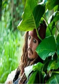 Пираты Карибского моря: На странных берегах (2011) в хорошем качестве через торрент Пираты Карибского моря: На странных берегах (2011) фильм в хорошем качестве через торрент