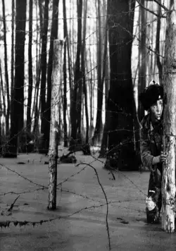 Иваново детство (1962) через торрент скачать Иваново детство (1962) фильм через торрент скачать