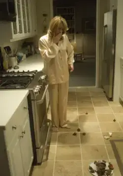 Частная жизнь Пиппы Ли (2009) в хорошем качестве через торрент Частная жизнь Пиппы Ли (2009) фильм в хорошем качестве через торрент