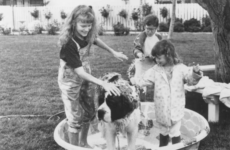 Бетховен (1992) через торрент скачать Бетховен (1992) фильм через торрент скачать