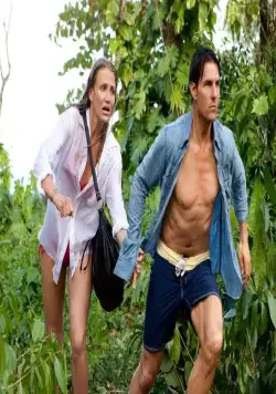 Рыцарь дня (2010) через торрент скачать Рыцарь дня (2010) фильм через торрент скачать