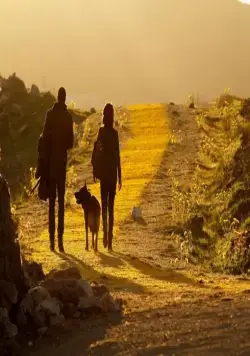 Изумрудный город (2016) через торрент скачать Изумрудный город (2016) сериал через торрент скачать