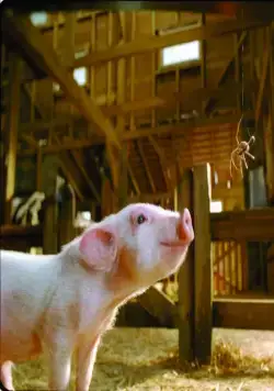 Паутина Шарлотты (2006) в хорошем качестве через торрент Паутина Шарлотты (2006) фильм в хорошем качестве через торрент