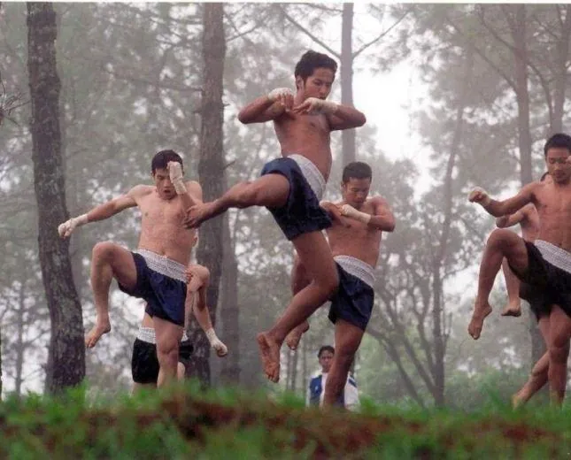 Прекрасный боксер (2003) через торрент скачать Прекрасный боксер (2003) фильм через торрент скачать