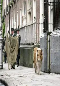 Лэсси (2005) через торрент бесплатно Лэсси (2005) фильм через торрент бесплатно