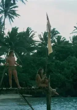 Возвращение в Голубую лагуну (1991) через торрент скачать Возвращение в Голубую лагуну (1991) фильм через торрент скачать