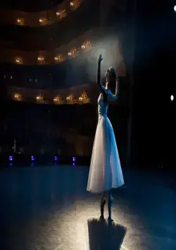 Белый лебедь (2012) через торрент скачать Белый лебедь (2012) фильм через торрент скачать