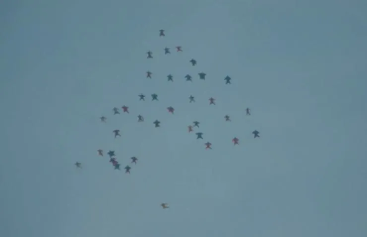 Выход (2017) через торрент скачать Выход (2017) фильм через торрент скачать