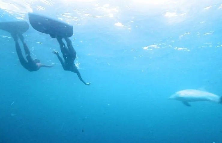 Рожденные свободными (2016) через торрент бесплатно Рожденные свободными (2016) фильм через торрент бесплатно