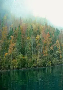 Зелёная планета (2012) в хорошем качестве через торрент Зелёная планета (2012) фильм в хорошем качестве через торрент