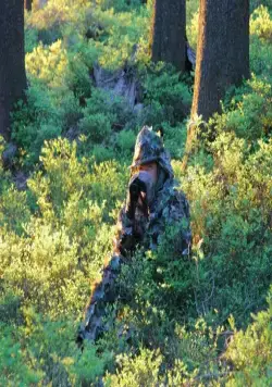 Зелёная планета (2012) через торрент бесплатно Зелёная планета (2012) фильм через торрент бесплатно