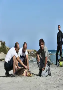 Вот так подружка (2014) в хорошем качестве через торрент Вот так подружка (2014) фильм в хорошем качестве через торрент