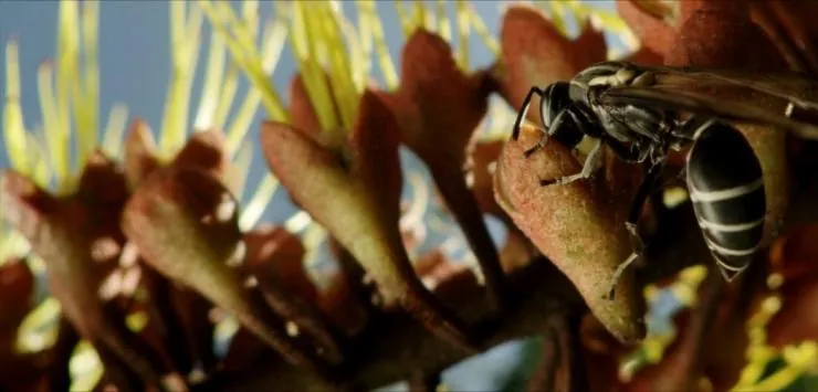 Однажды в лесу (2013) через торрент бесплатно Однажды в лесу (2013) фильм через торрент бесплатно